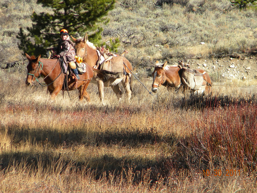 Wyoming Pack Trip