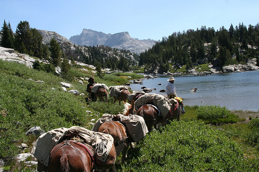 Wyoming Spot Packs, Pack Trips, Gear Drops, Backpacking Trips