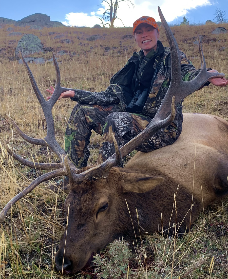 Elk Hunt Snow